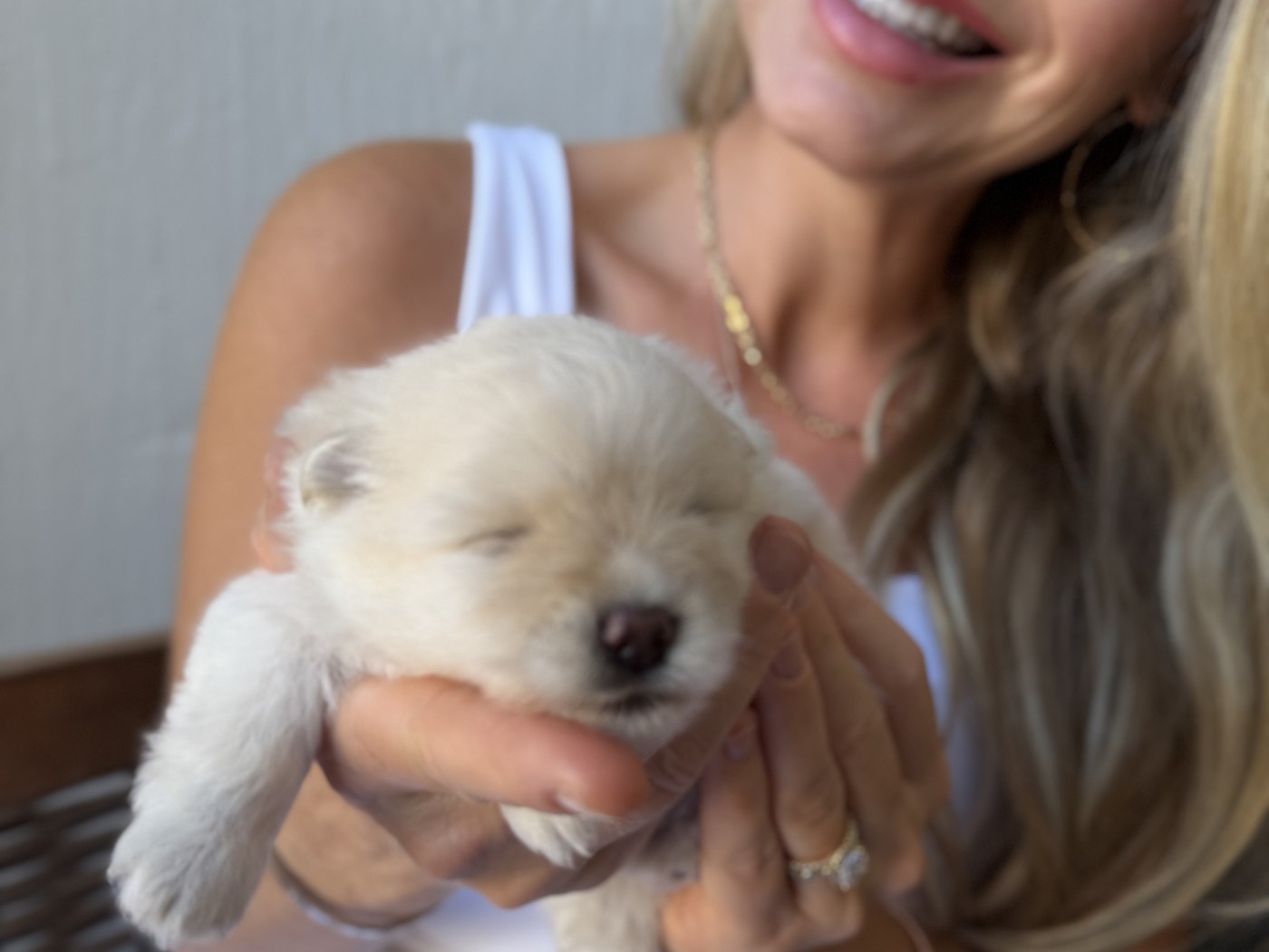 Holding a newborn white Pomeranian puppy