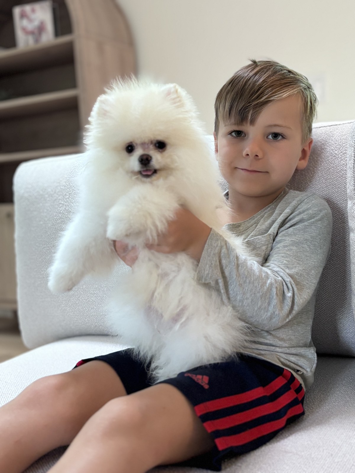 Our son holding a white Pomeranian on the sofa