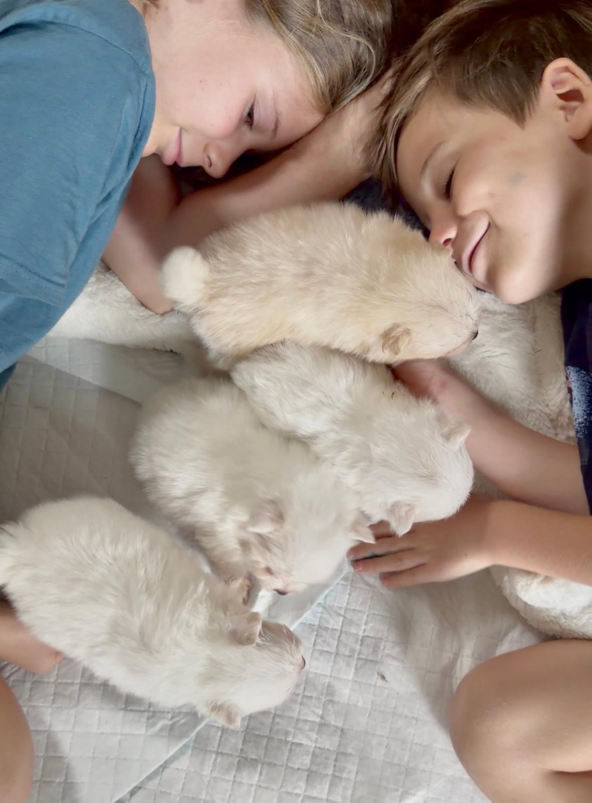 Our children napping beside the Pomeranian puppies